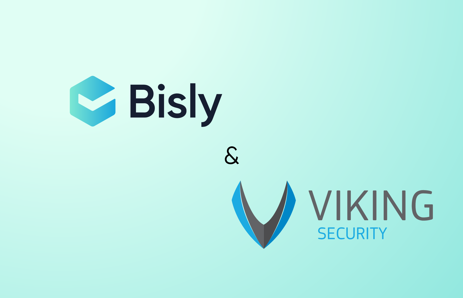 Image - Viking Security Starts as Bisly’s Installation Partner